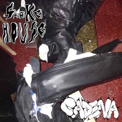 Remind Me How To Feel (feat. Snakehouse) - Single