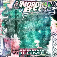 UNORDINARYBEATS VOL. 5: cataclysm - UNORDINARYBEATS