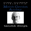 Tanıdık Dünya - Melih Cevdet Anday