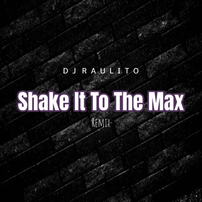 Shake It To The Max (Remix) - Single
