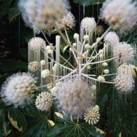 II (feat. From Overseas & Tyresta) - Color of Time