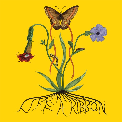 Album artwork