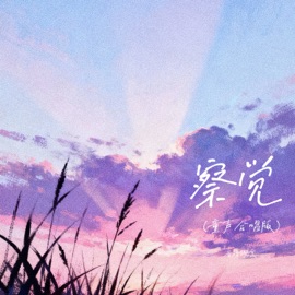 察觉 (童声合唱版) 音格概念