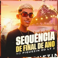 SEQUÊNCIA DE FINAL DE ANO NO PIQUEZIN DO LT 2 - EP - DJ LT