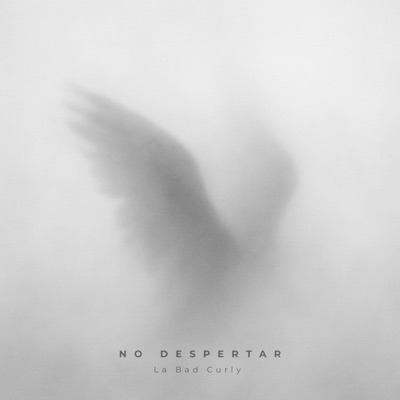 No despertar - Single