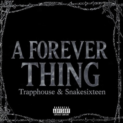 A Forever Thing. (feat. Snakesixteen) - Single