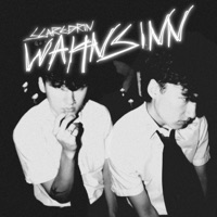 wahnsinn - Single - scaredrin