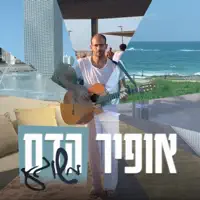 משוגע — אופיר הדס