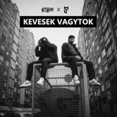 Kevesek vagytok (feat. Siska Finuccsi) artwork