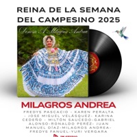 Denesa Milagros Andrea (feat. Karen Peralta) - Single - José Miguel Velásquez