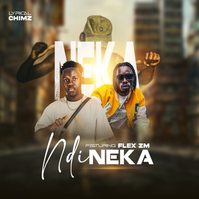 Ndineka (feat. Flex zm) - Single