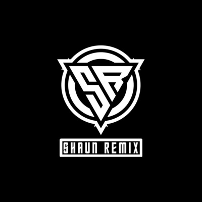 Shaun Remix - Nếu Ta Ngược Lối (Shaun Remix)