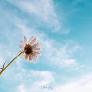 Solitude