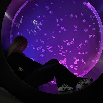 Královna Laguny - Single