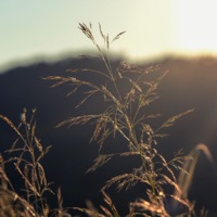 Other Life - Single - Sleeper Toons