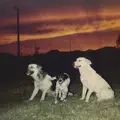 Here It Comes
