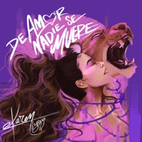 De Amor Nadie Se Muere - Karen Lizarazo