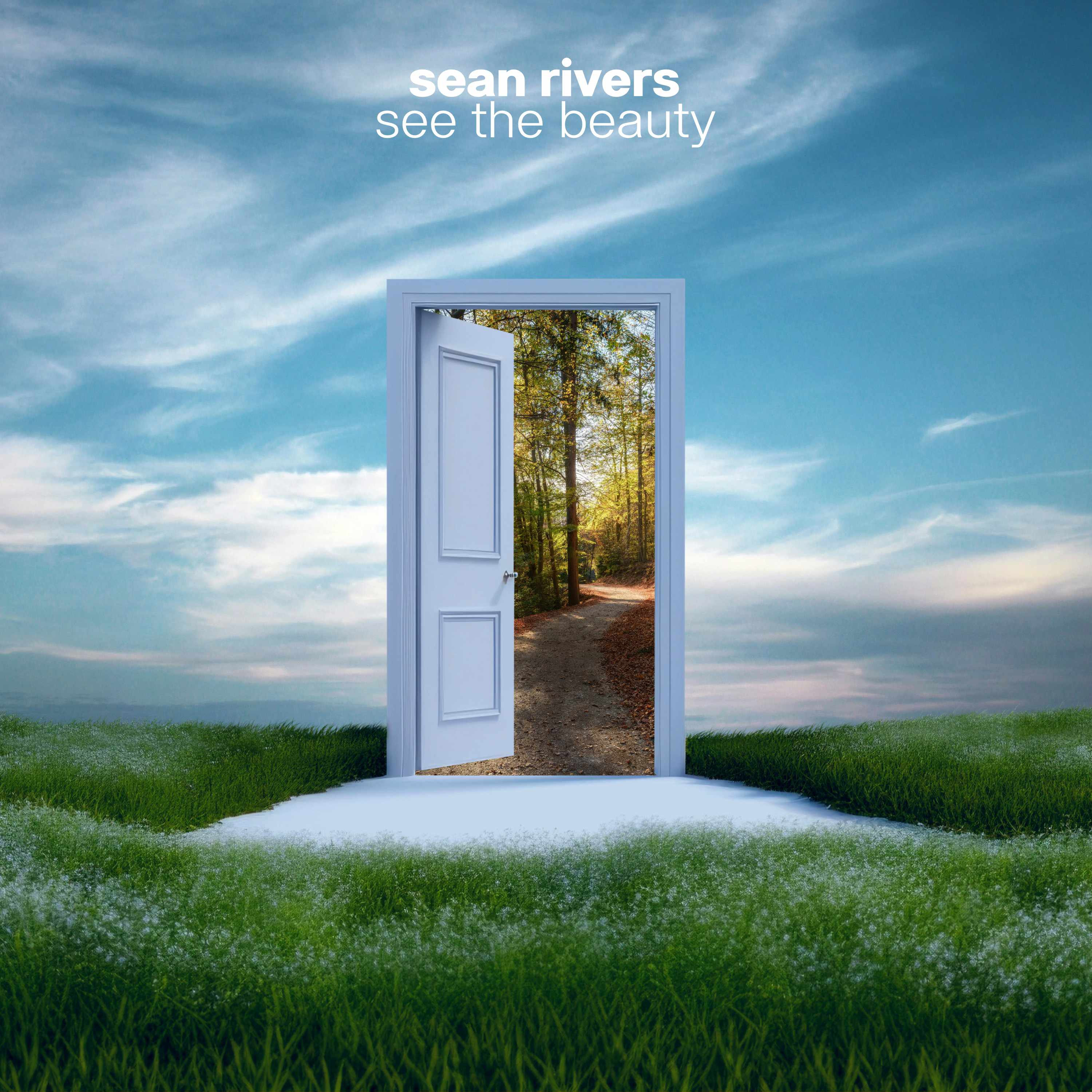 See the Beauty - Single