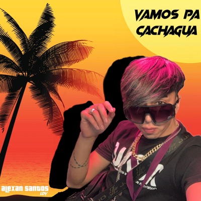 Vamos pa Cachagua - Single