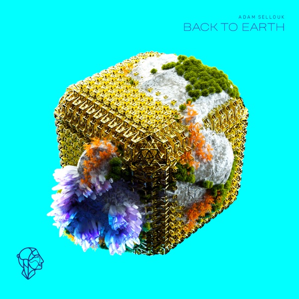 Back to Earth - Single