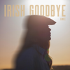 Aim&eacute;e - Irish Goodbye artwork