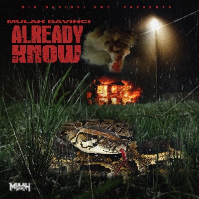 Already Know (Radio Edit) - Single