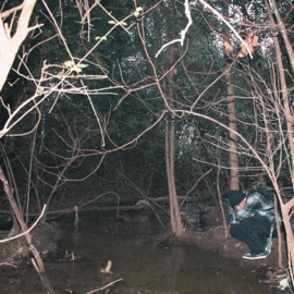 CROCODILE DUNDEE Peair