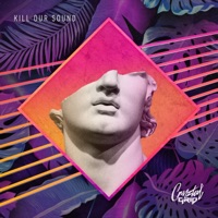 Kill Our Sound - Single - Cryztal Grid