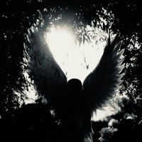 HAIL (feat. Xayna & blank) - Single - Kalico