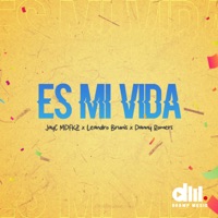 Es Mi Vida - Single - Jay C MDFKZ, Danny Romers & Leandro Brunis