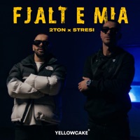 FJALT E MIA - Single - 2Ton & Stresi