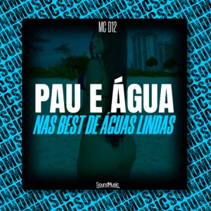 Pau e Água nas Best de Águas Lindas
