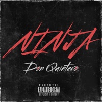 Ninja (feat. Serge Theguy) - Single - Don Quintero