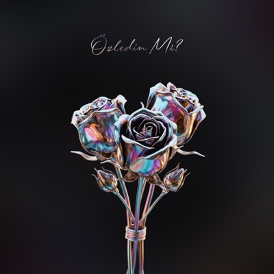 Özledin Mi? - Single