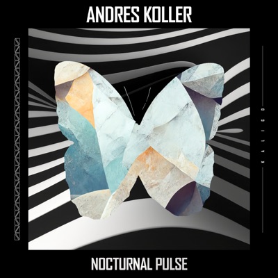 Nocturnal Pulse (Radio Edit) - Single
