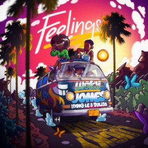 Feelings