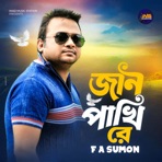 Jann Pakhi Re - Single