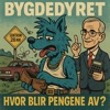 Hvor blir pengene av?