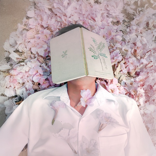 The Language of Blooming