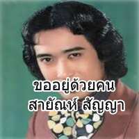 สายัณห์ สัญญา