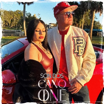 Son Dos (feat. Vany Music) - Single