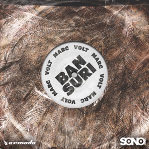 Bansuri - Single