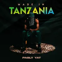 Yo Waist — Pasly YAT