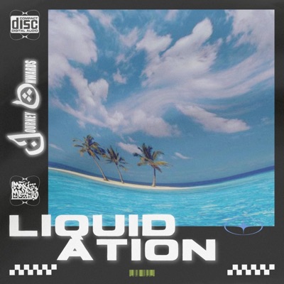 Journey Onwards: Liquidation