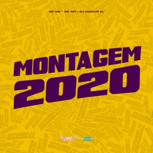 Montagem 2020