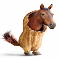 BurntPeanutHorse (feat. Wh33zy) - Single - $lither $aibot