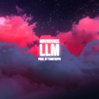 LLM - Single - mrvnbxnds