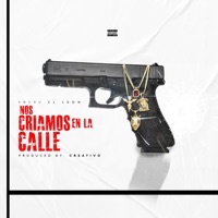 Nos criamos en la calle - Single - Sheru 