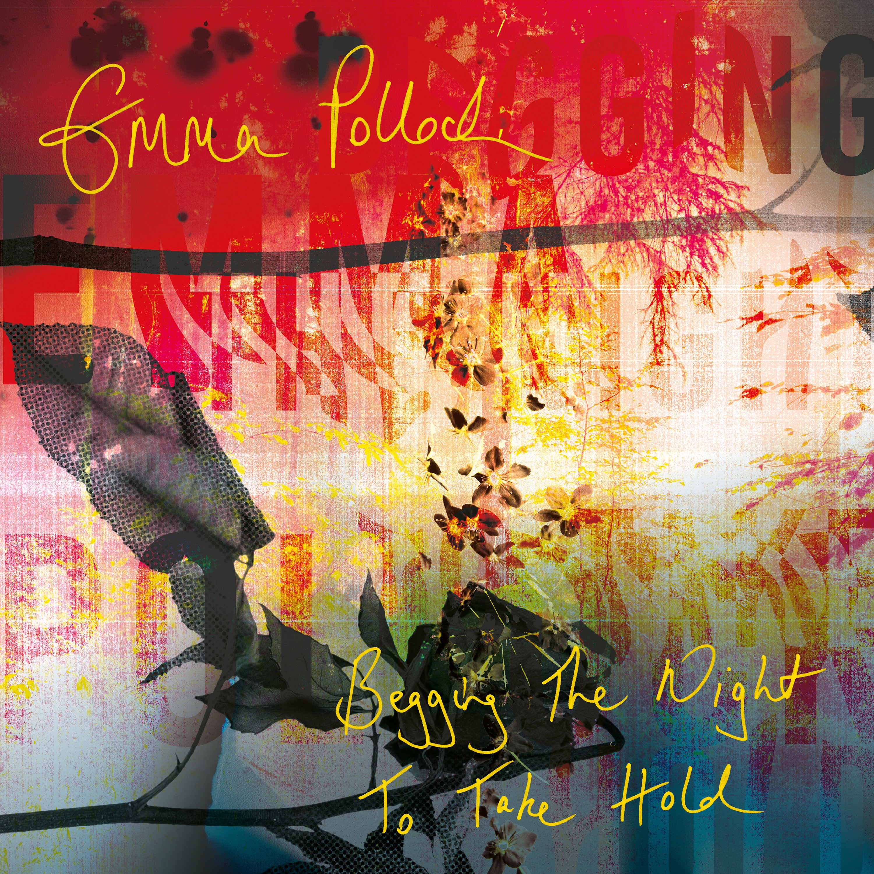 Begging The Night To Take Hold