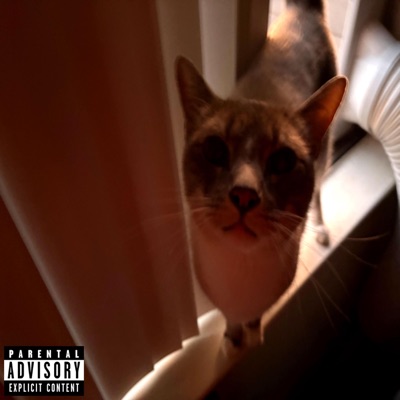 tlc (feat. Babycassy) - Single